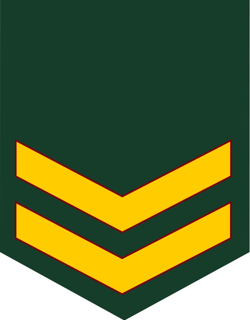 民国国军军装军衔标识,马来西亚军队军衔图集