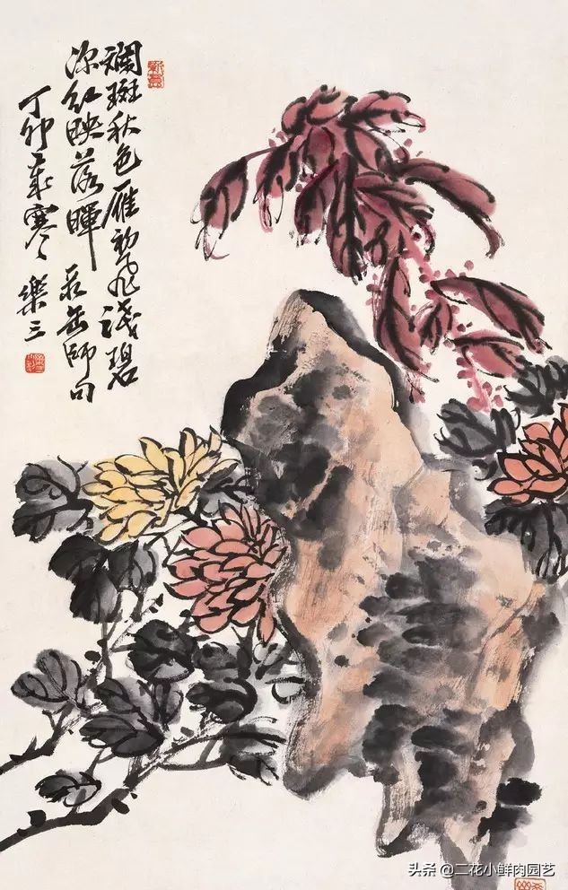 100种花卉绘画,100多张花卉线描手稿素材赶快收藏