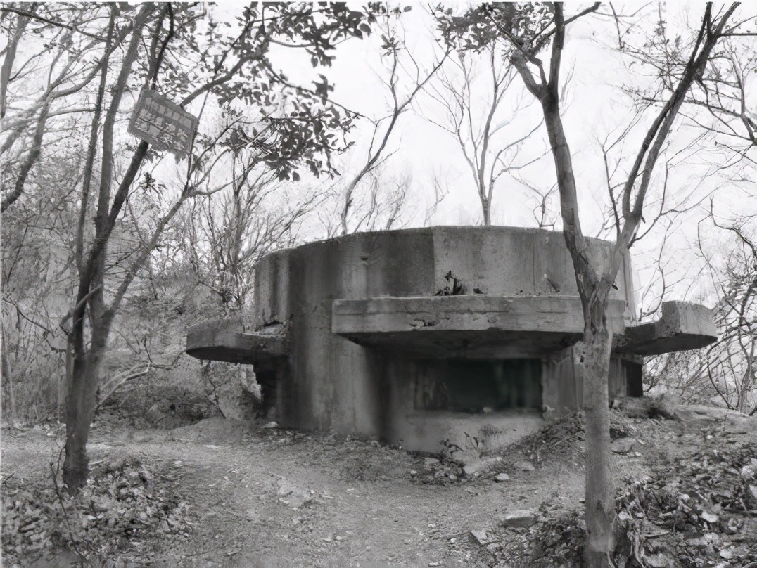 1937年南京保卫战紫金山碉堡,紫金山战役伤亡多少人