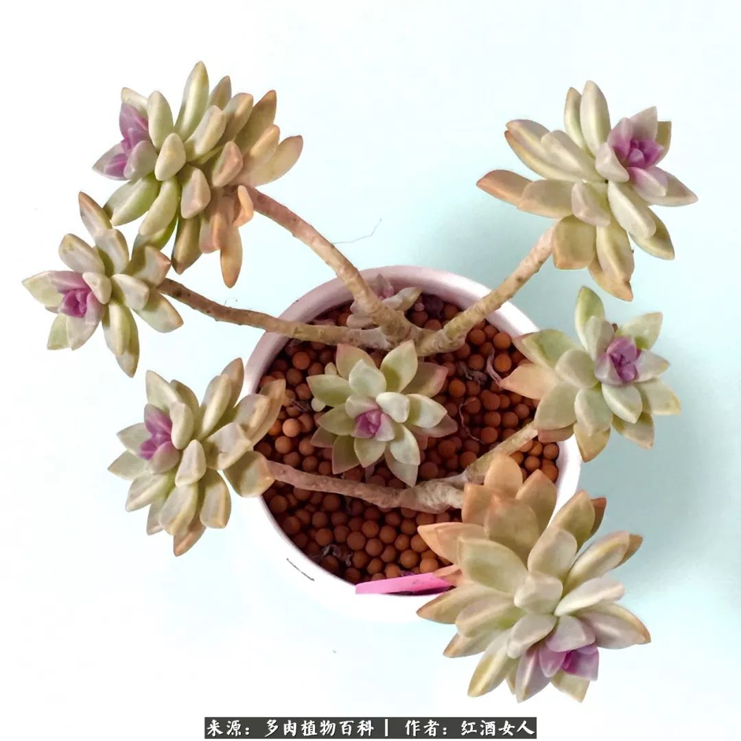 记录走过的美景留下美好的回忆,记录走过的每一段美好时光