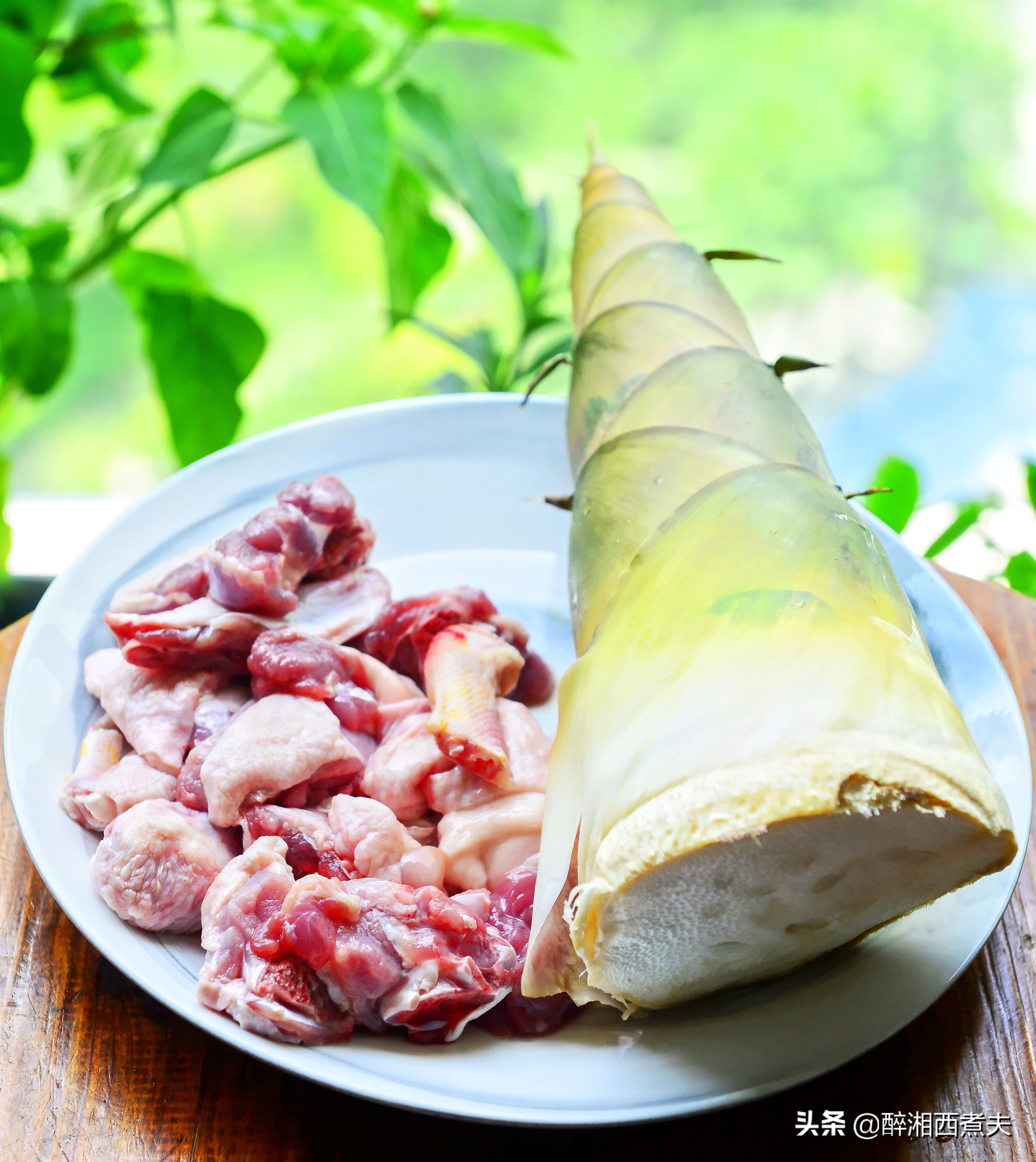 最好的南方竹笋,野生竹笋最好吃的季节