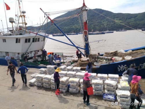 天上不会掉馅饼，地上可以拣海鲜，信不信？