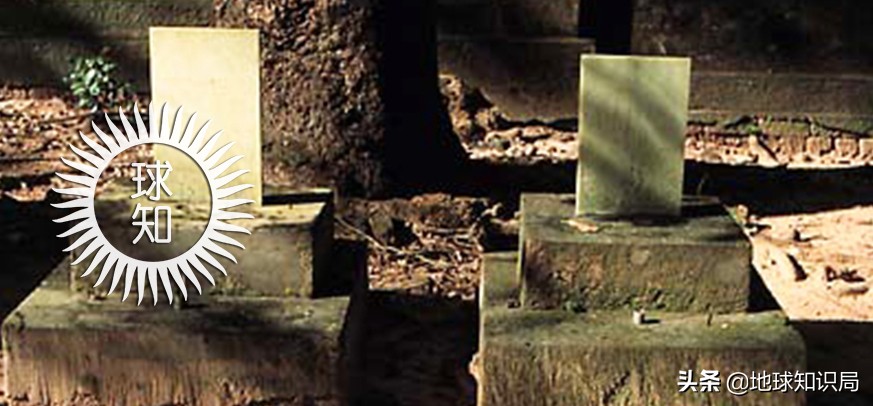 日本女人,为国*身卖**|地球知识局