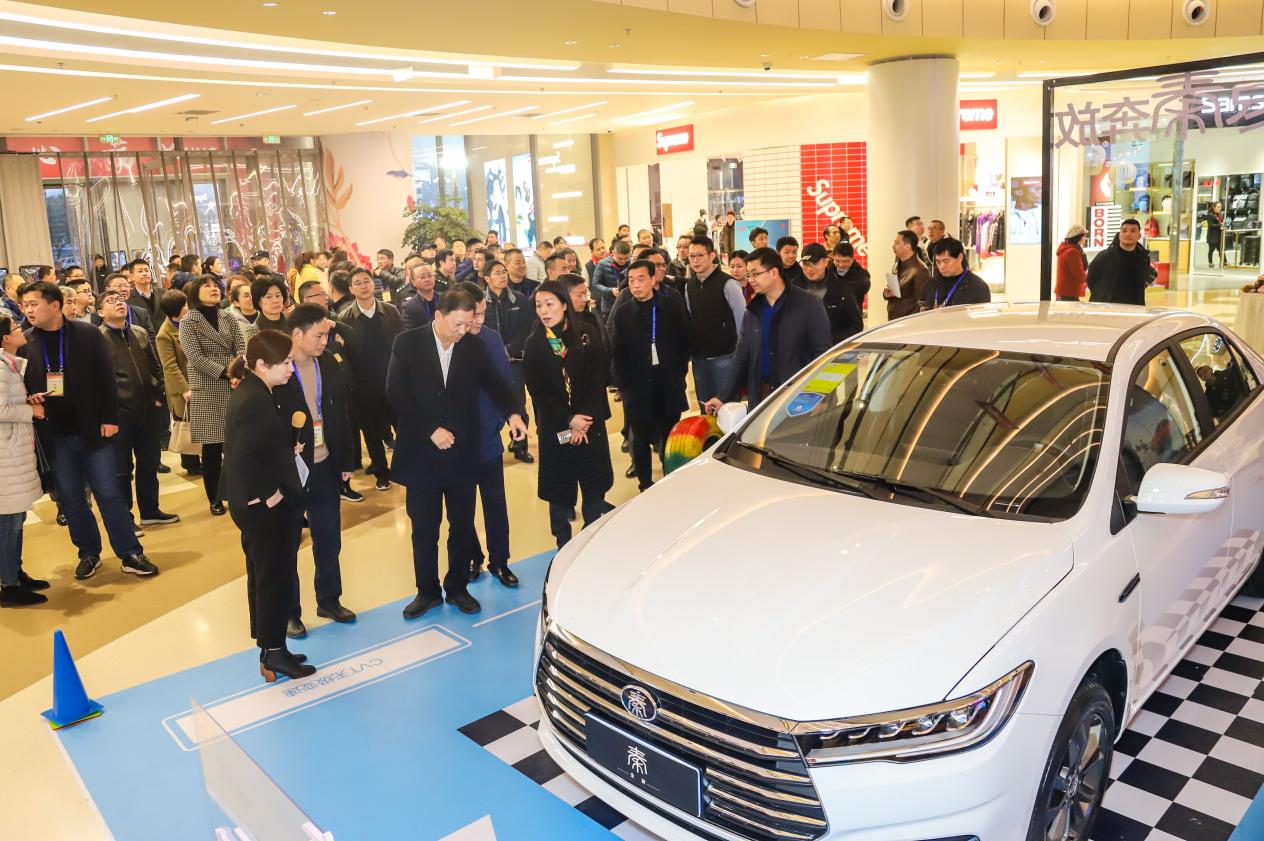 比亚迪冠军版轿车价格,比亚迪冠军版秦混动版