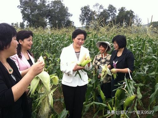 那个创业本金“不足百元”的姑娘，如今成为亿万富翁了吗？