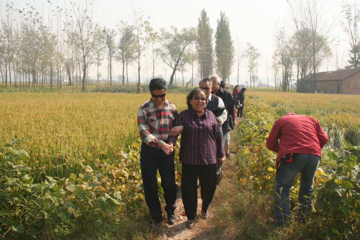 鎵堥瞾,鎵堥瞾鍥界敾