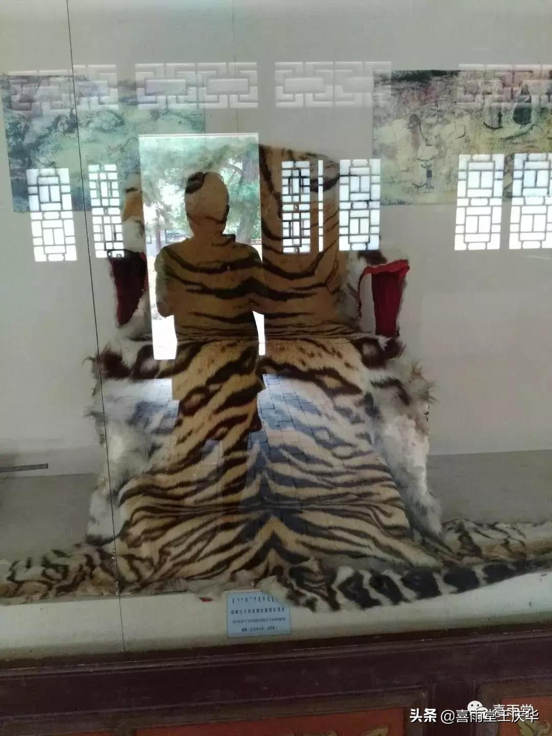 草原行蔚县,内蒙古草原行