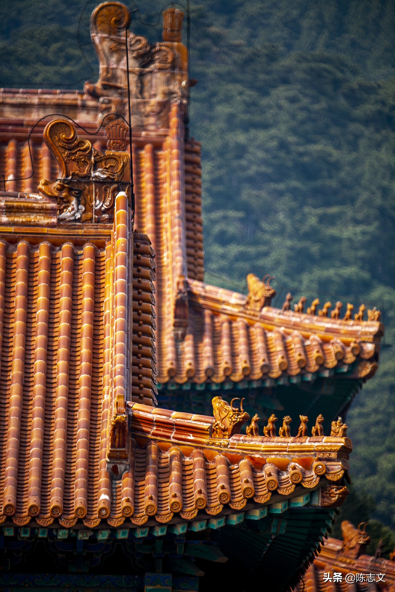 大清皇后娘娘竟然是江南名伎?太狗血了吧