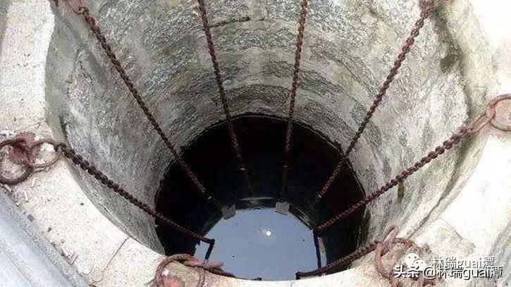 龙真实存在吗天涯论坛,龙真实存在的神评论