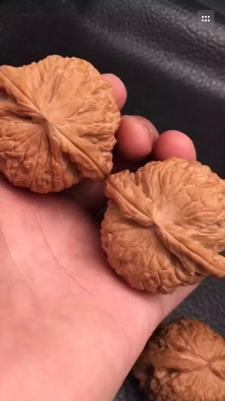 文玩核桃如何通过蒸煮包浆上色,文玩核桃包浆初期是什么样子的