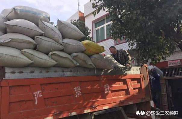 粮价暴涨的后果,粮价大跌物价大涨农民还能种地吗