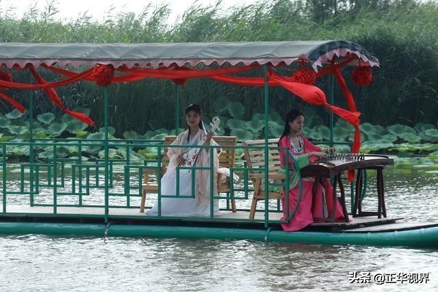 尽领龙湖风情品味水韵荷香2019淮阳龙湖赏荷旅游月精彩启幕