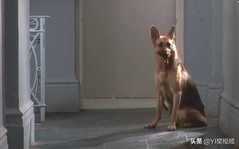 张学友经典喜剧，许冠英搞笑担当，头顶*裤内**斗僵尸《猛鬼差馆》