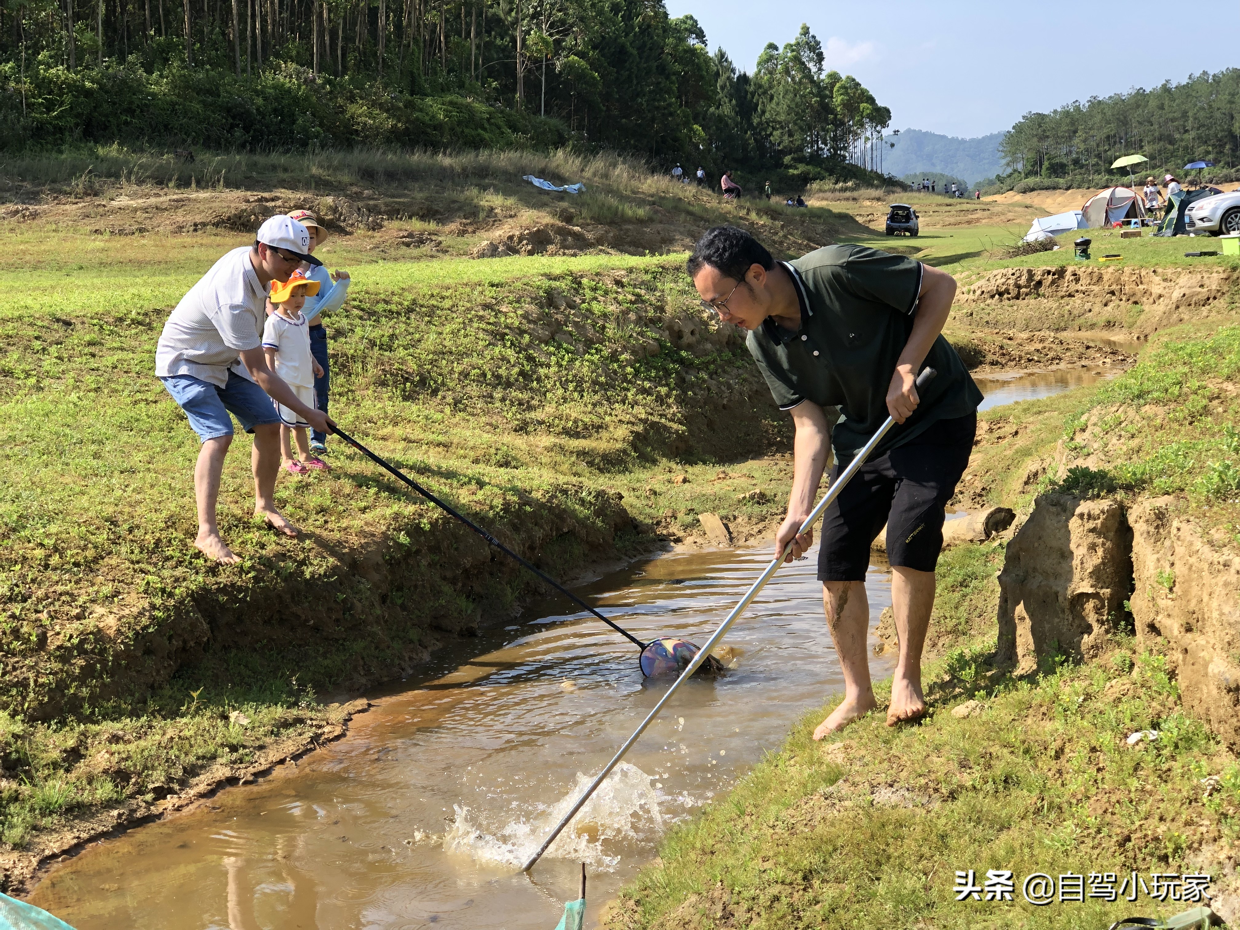 湖北千岛湖山顶露营地方推荐,浙江千岛湖适合露营的地方