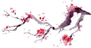 女诗经男楚辞取名攻略,女诗经男楚辞全文