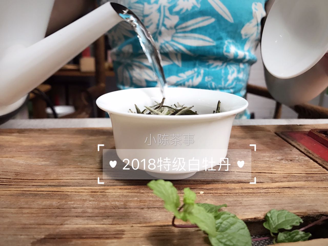 老白茶寿眉散茶好还是饼茶好喝,收藏白茶和收藏普洱的区别