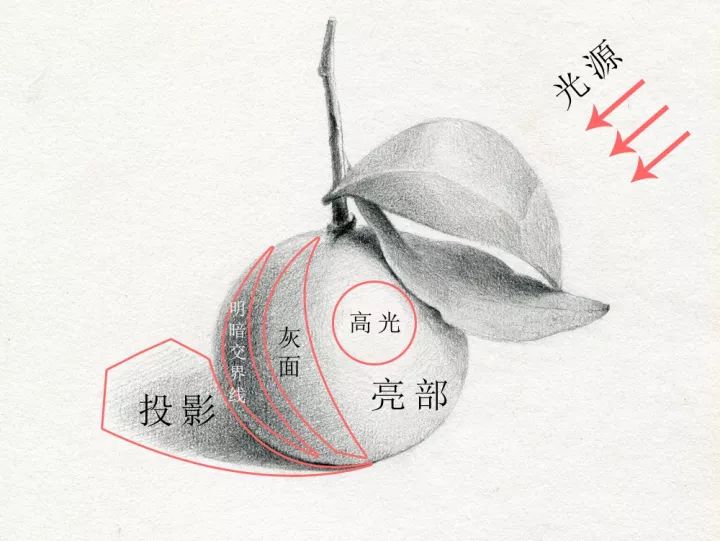 会画画的都会画素描吗,有的人说我不会画素描