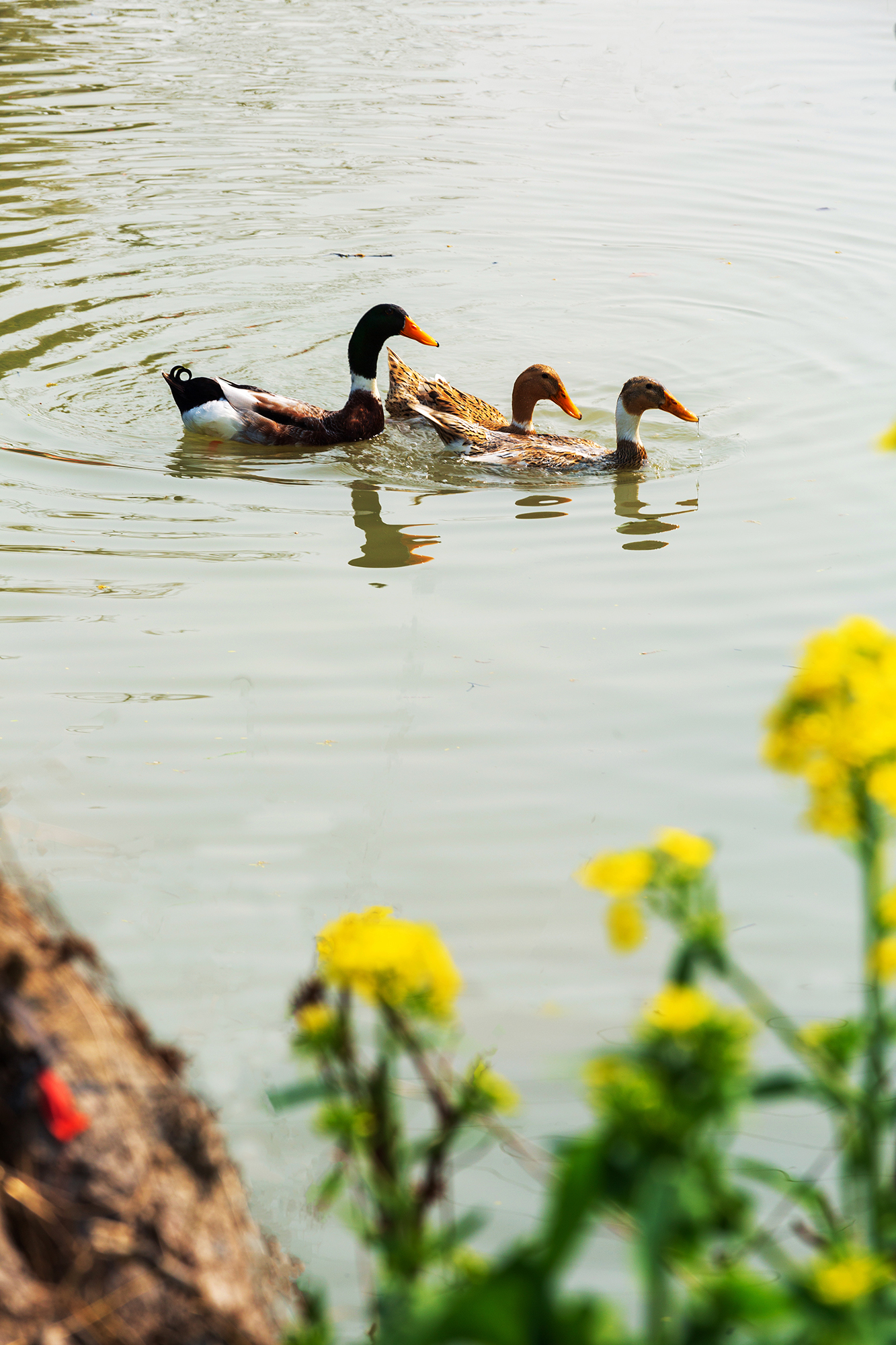 刚好我也喜欢你暮回全文阅读,刚好我也喜欢你小说完整版