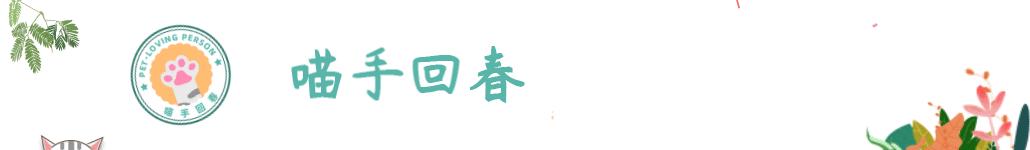 猫咪天冷了一定要和铲屎官睡觉,铲屎官们该怎样帮助猫咪过冬