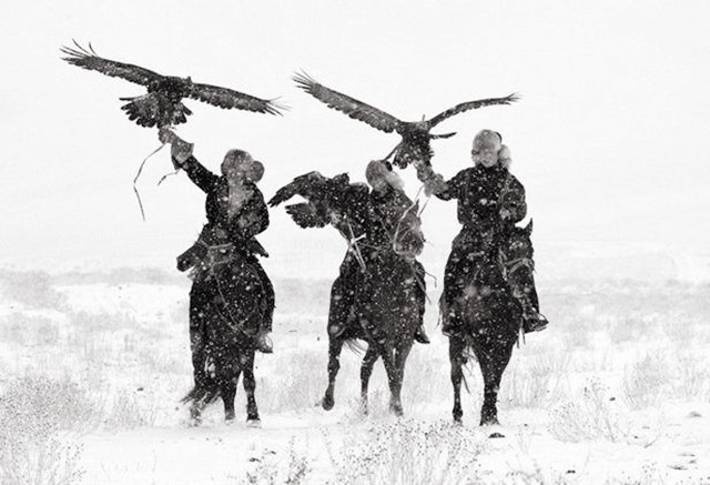 万鹰之神海东青结局,万鹰之神海东青视频