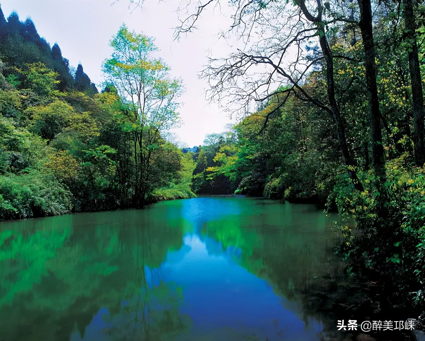 为什么有的人投资眼光很准,为什么越来越多的资本想投资酱酒