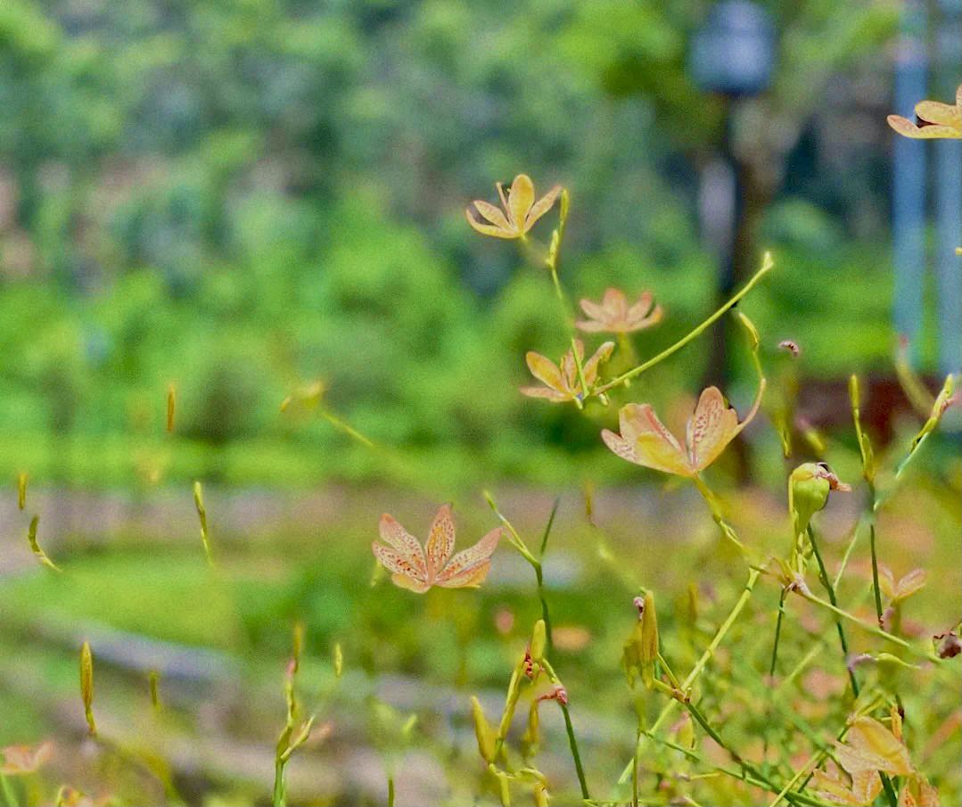 珠海红花山小九寨沟,珠海南坑小九寨沟