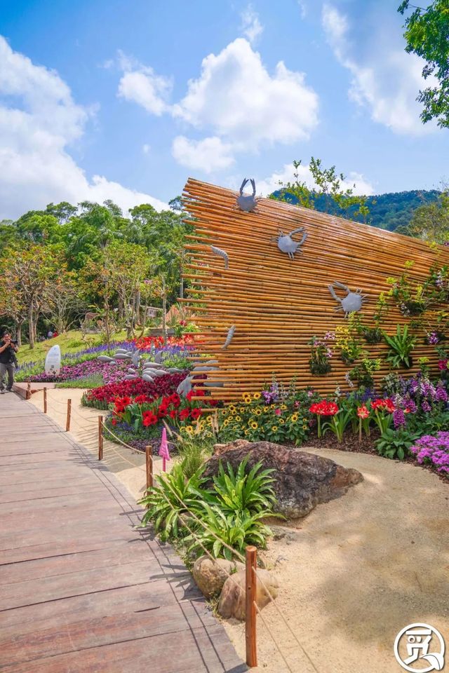 深圳史上最大最美的花展来啦,走进深圳仙湖植物园的国际花展