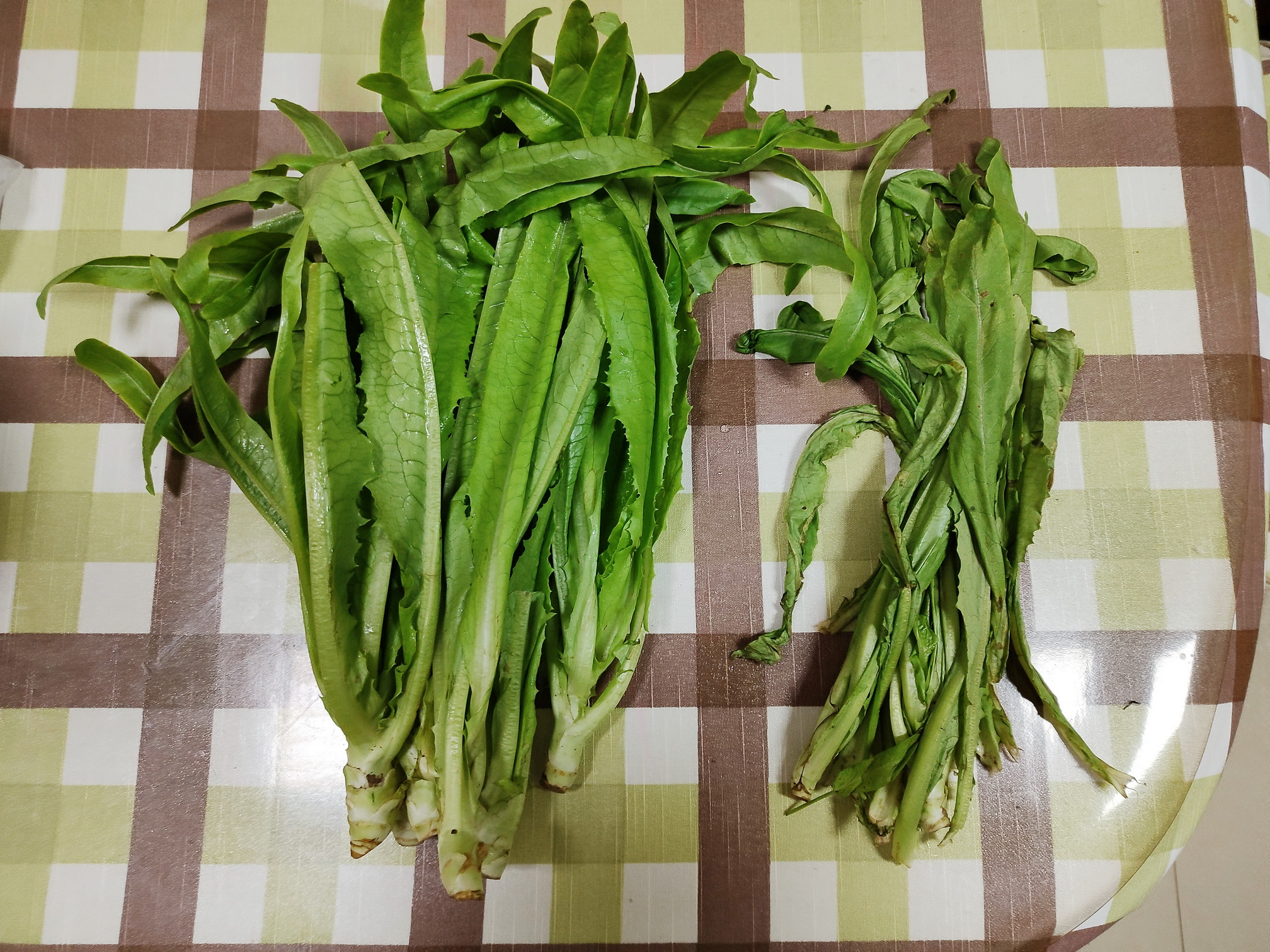 海信259升三门节能冰箱,海信1级4开门无霜节能冰箱价位