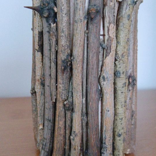 开心果果壳发绿,开心果壳别扔