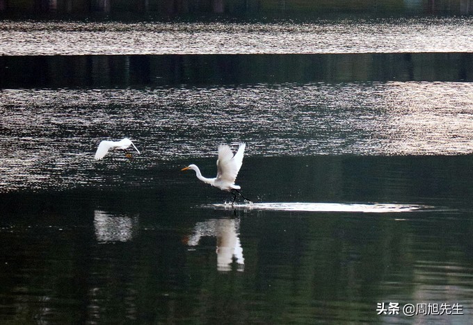 盛京3天深度自驾游好去处推荐,盛京游记