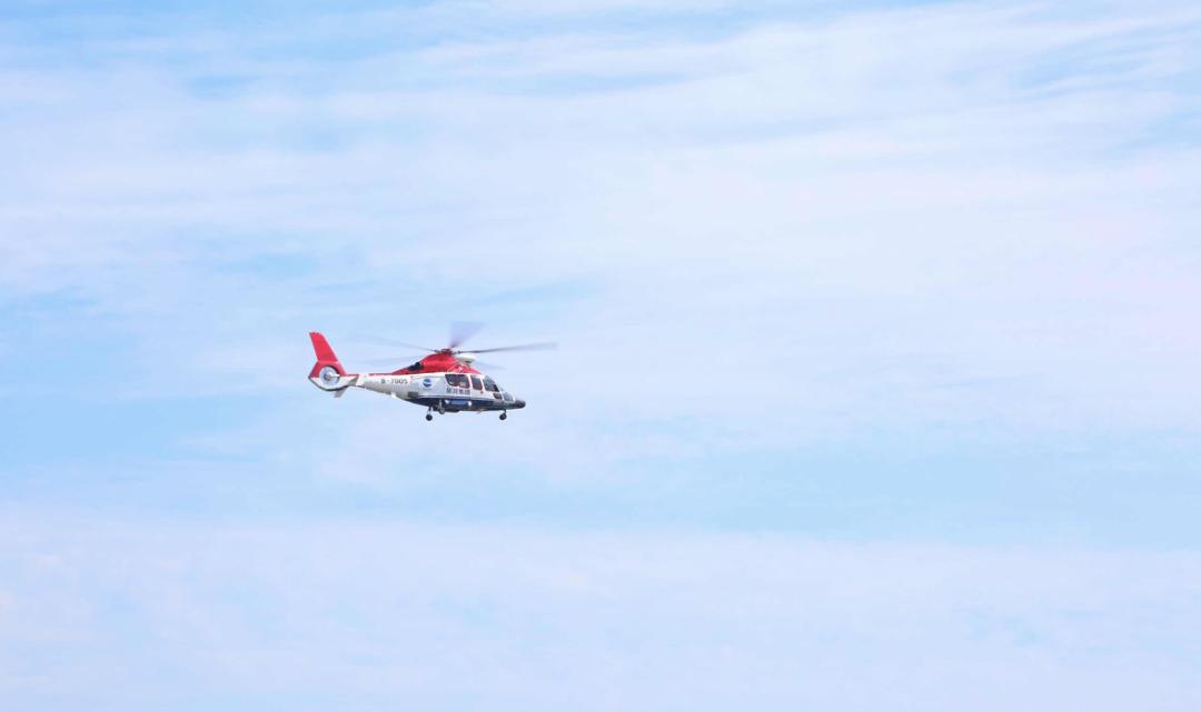 均温20℃的海滨老城，紫色泡桐花美得像国外，现在去性价比超高