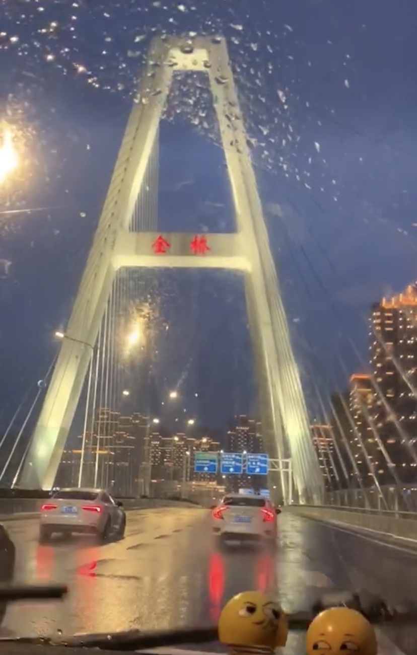 病毒席卷了我们的家园,病毒席卷了世界的每一个角落