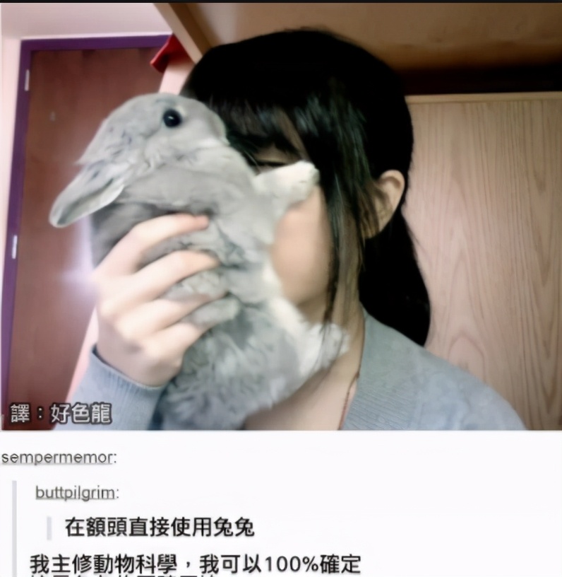 搞笑gif趣图兄弟们来跟我一起摇摆,大哥搞笑动图gif