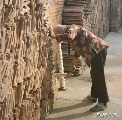 白鹿原中的风土人情,白鹿原上的生活记忆