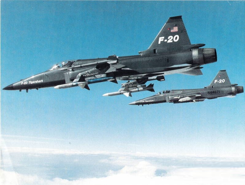 极富悲剧色彩的虎鲸,虎鲨悲剧