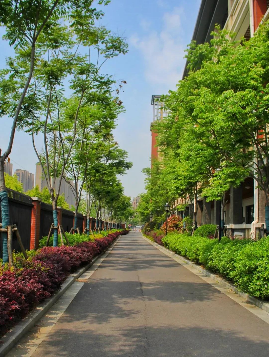 南京金陵小学仙林学费,南京市金陵小学仙林湖校区学费