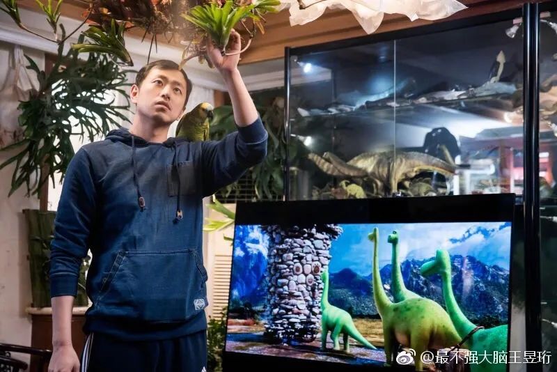 最强大脑王昱珩清华毕业后不上班,王昱珩上学经历