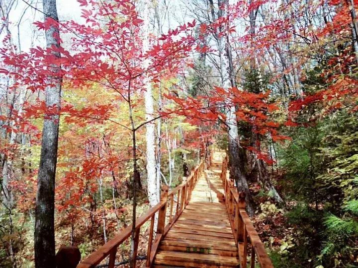 敦化十一旅游注意事项,敦化十一自驾游最值得去的地方