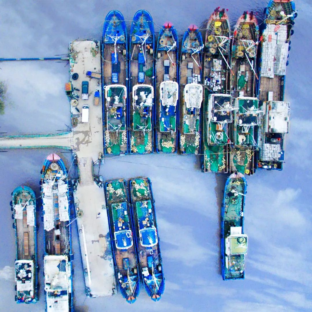 什么是台州畅行码,什么是台州