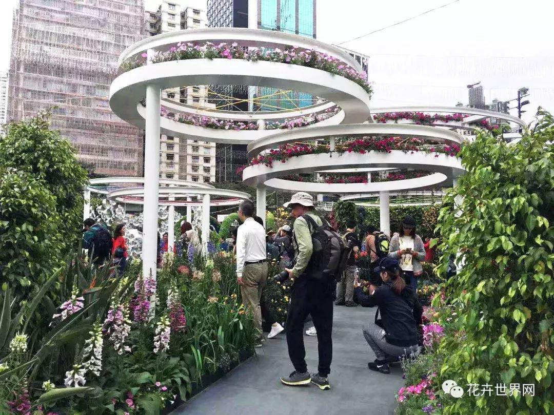 共赴盛会活动,香港国际花卉展