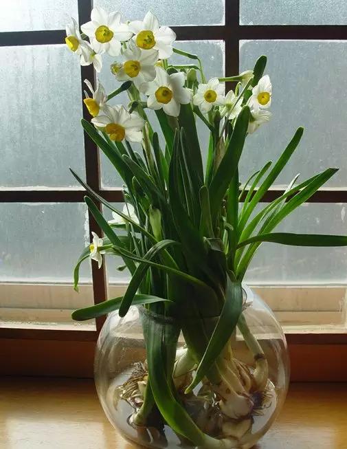 中国十大名花你认识几种呢,中国十大名花你喜欢哪种呢