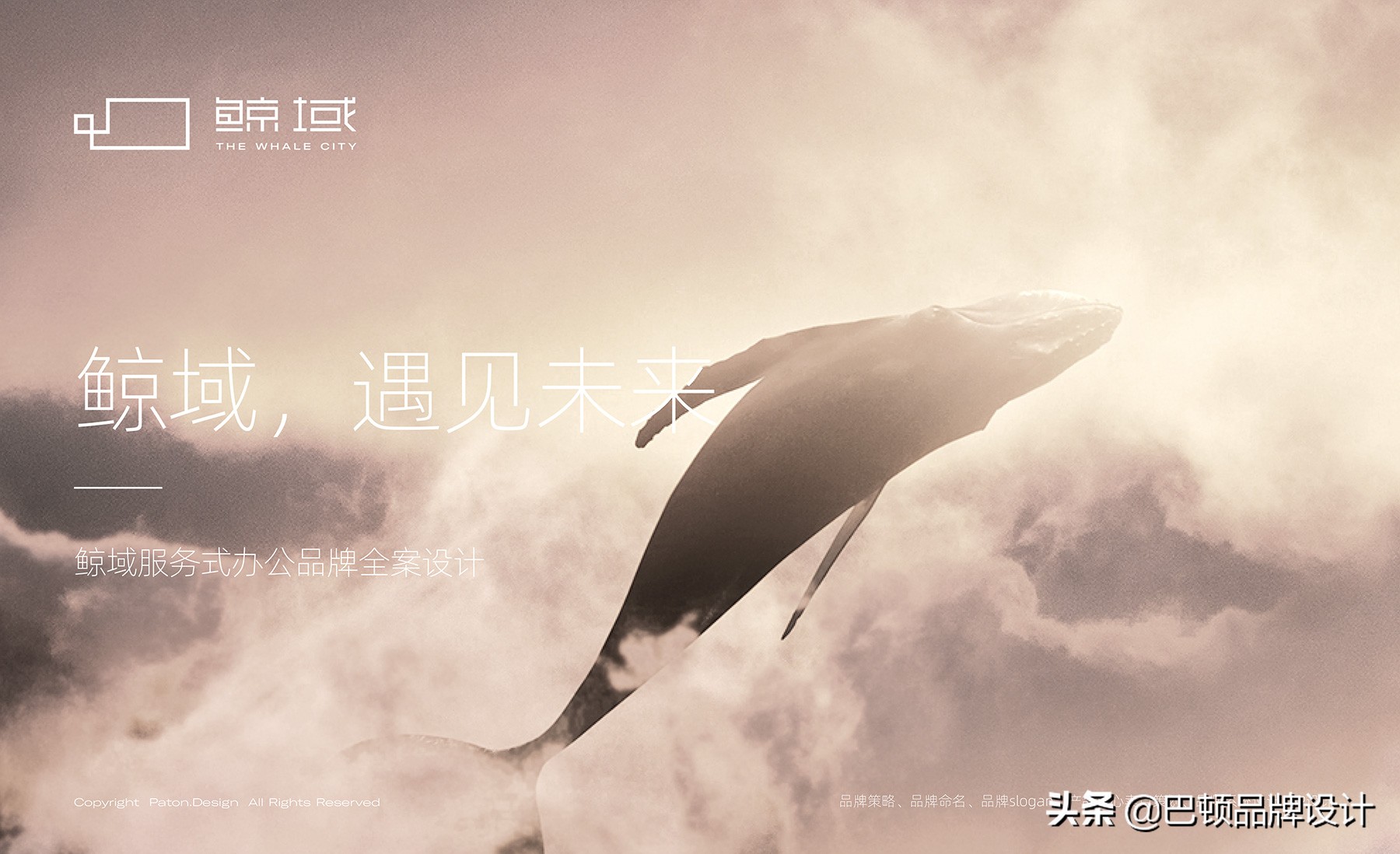 鍝佺墝鍏ㄦ绛栧垝鍏徃,鍝佺墝鍏ㄦ绛栧垝璇︾粏姝ラ