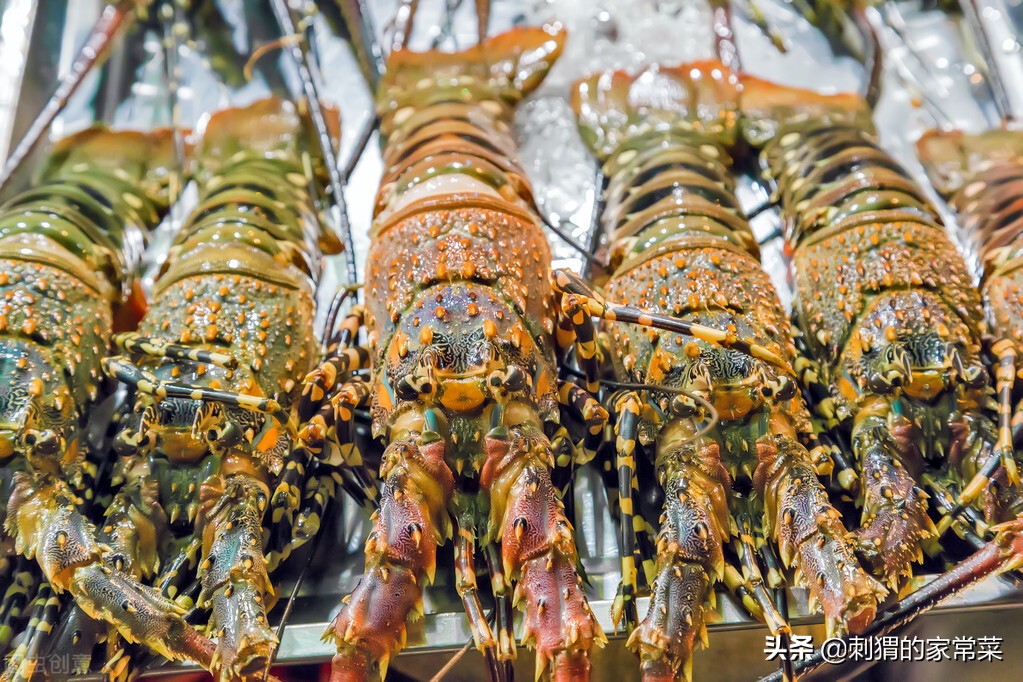 三亚官方谈海胆事件是哪家餐厅,十年餐厅老板