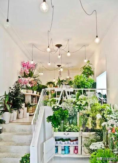 新手小白怎么开好一家花店,没有社会经验如何运转一家花店