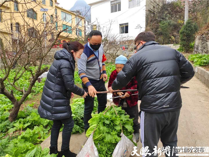 月照街道：既“代购”又“代销”贴心服务温暖群众