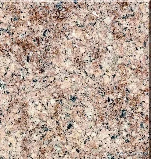 百种花岗岩大全,花岗岩完整高清版在线观看