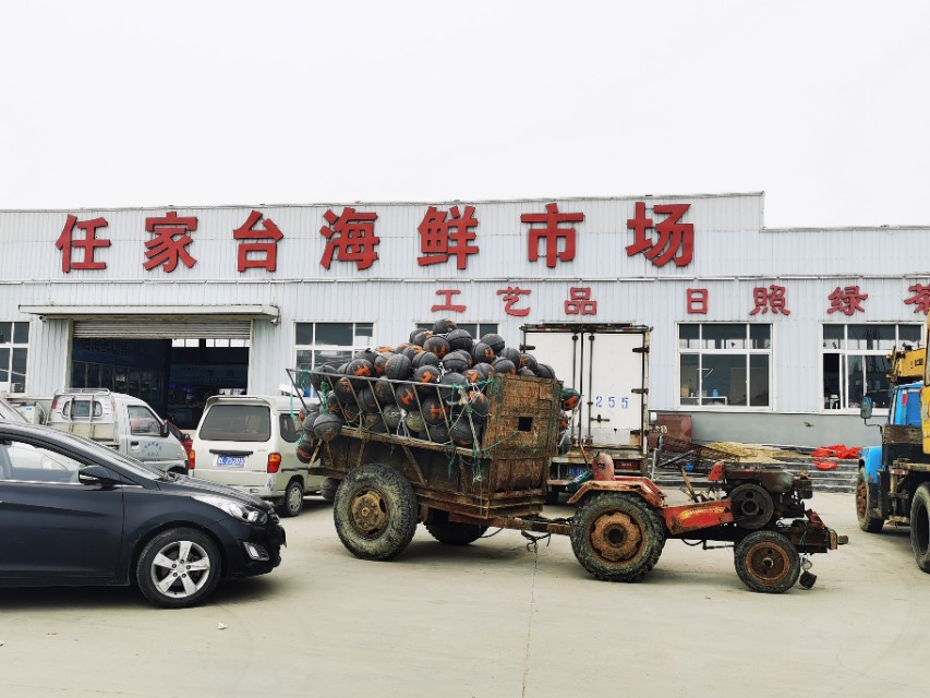 日照最美海边攻略,日照海滩自驾游推荐