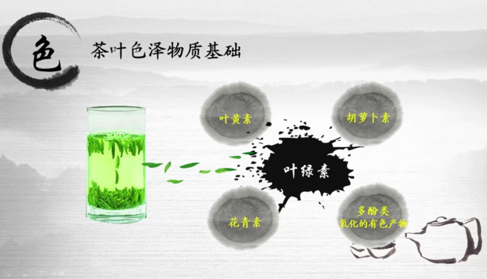 茶叶的外形鉴赏,茶叶的鉴赏