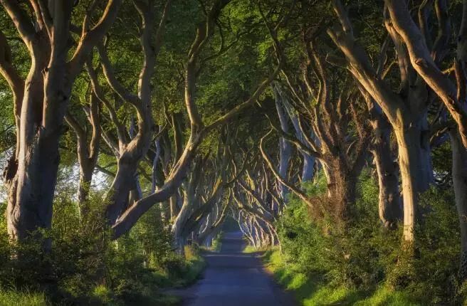 全球十大网红打卡景点,世界各地网红打卡景点