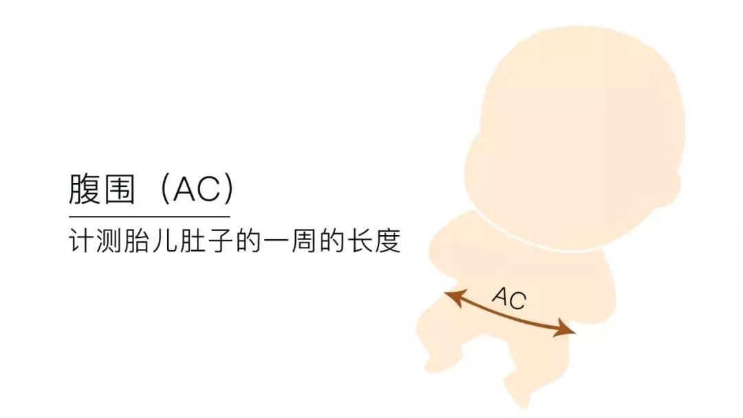 B超单的秘密，你看懂了？